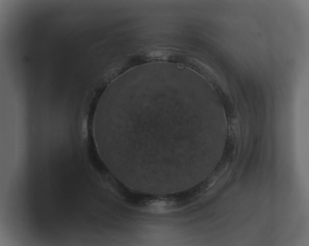 X0000102790504200808251031