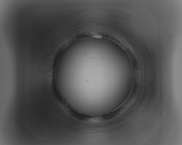 X0000102790505200808251031