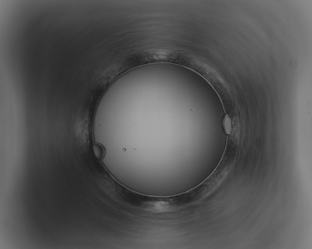 X0000102790509200808251031