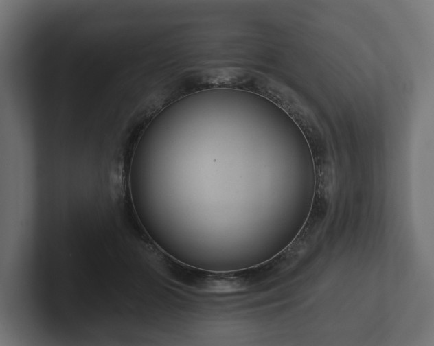 X0000102790510200808251031