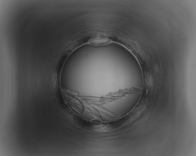 X0000102790511200808251031