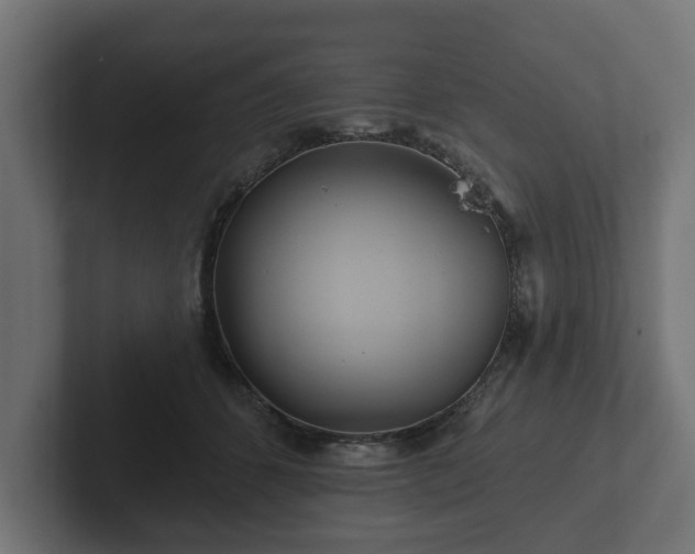 X0000102790512200808251031