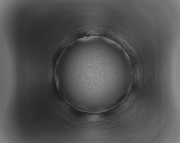 X0000102790513200808251031