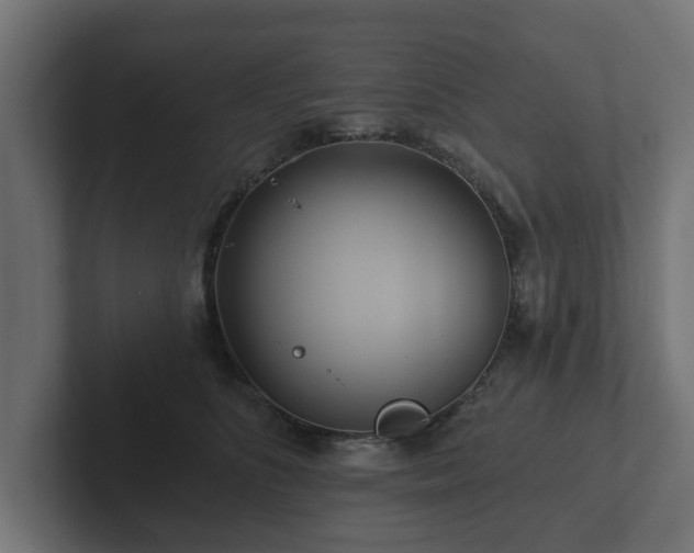 X0000102790516200808251031