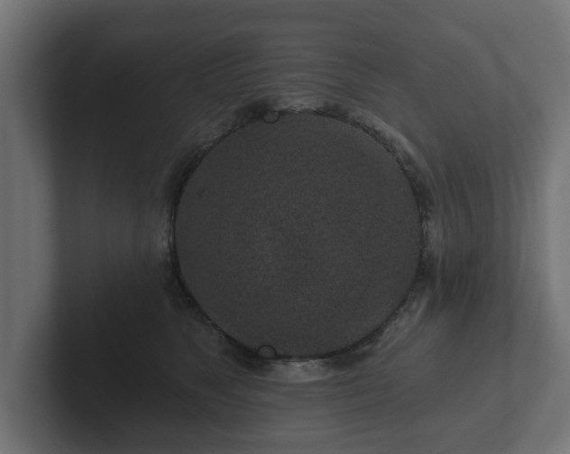 X0000102790517200808251031