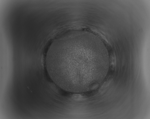 X0000102790519200808251031