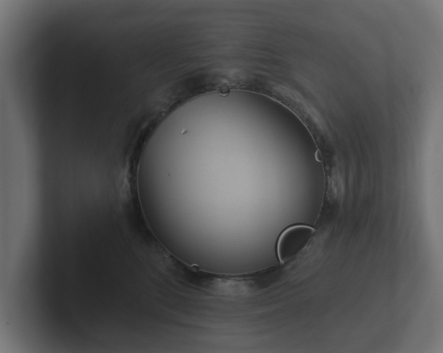 X0000102790520200808251031