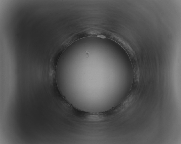 X0000102790521200808251031