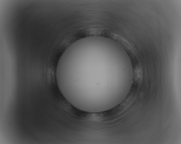 X0000102790522200808251031