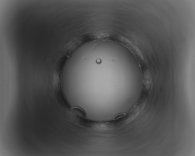 X0000102790523200808251031