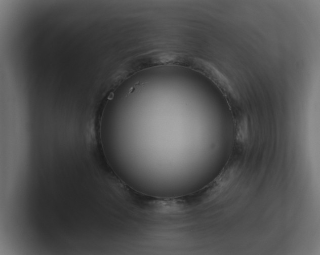 X0000102790524200808251031