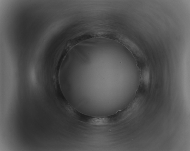 X0000102790526200808251031