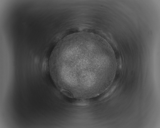 X0000102790527200808251031