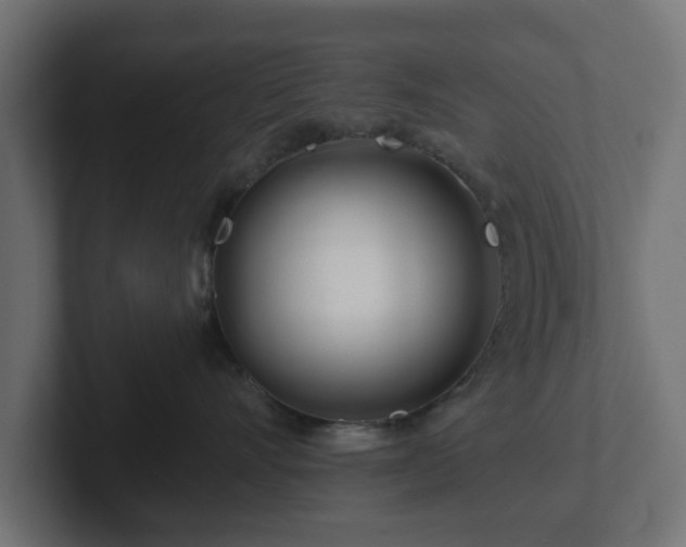 X0000102790528200808251031