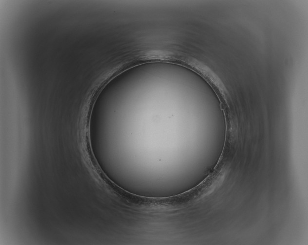 X0000102790529200808251030