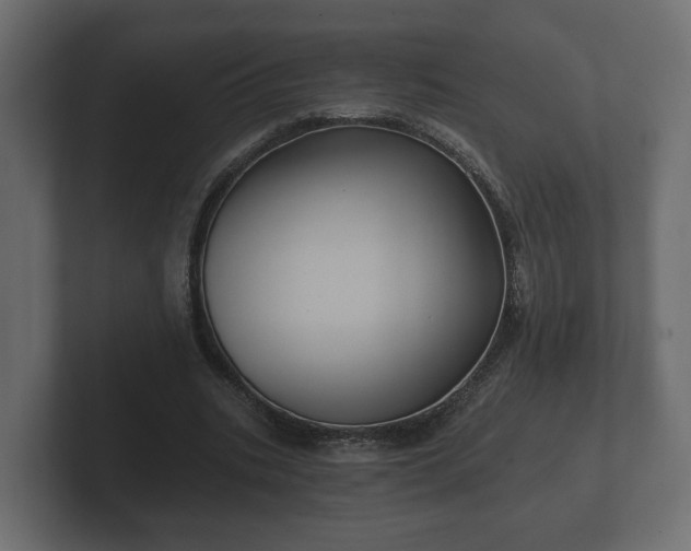 X0000102790535200808251030