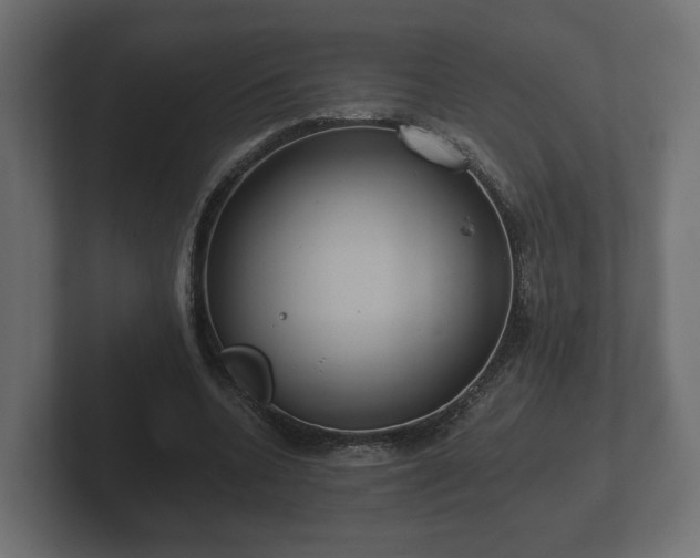 X0000102790536200808251030