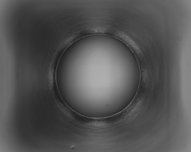 X0000102790537200808251030