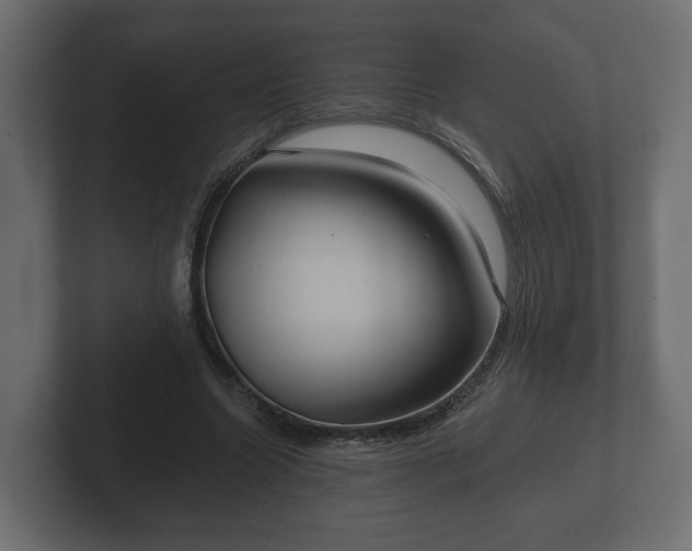 X0000102790538200808251030