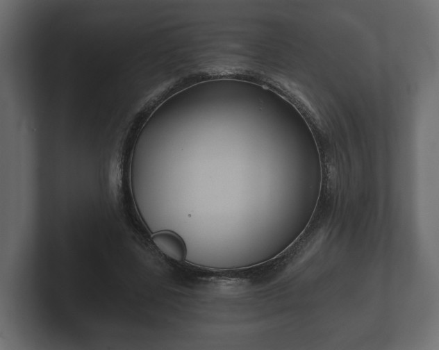 X0000102790539200808251030