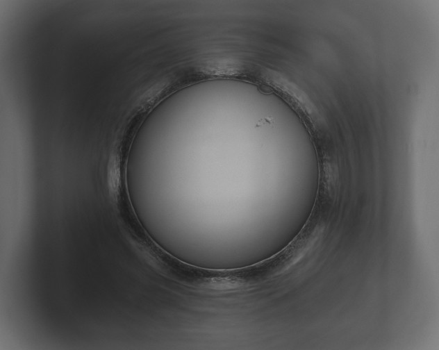 X0000102790541200808251030