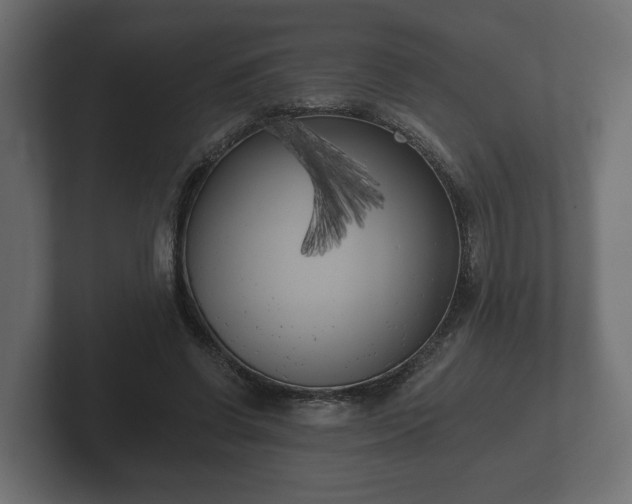 X0000102790542200808251030