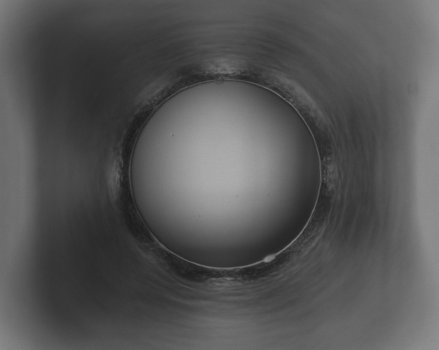 X0000102790544200808251030