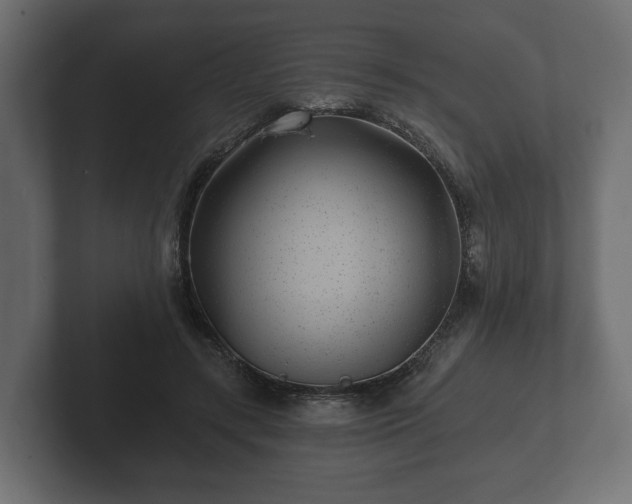 X0000102790547200808251030