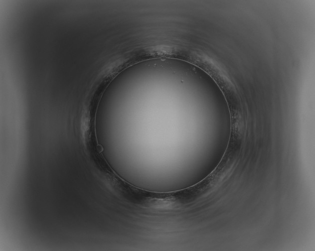 X0000102790548200808251030