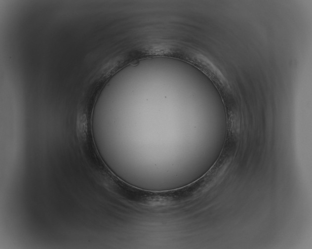 X0000102790549200808251030
