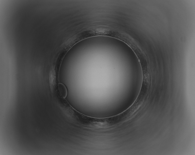 X0000102790552200808251030
