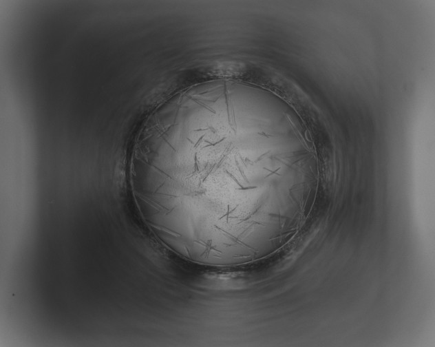 X0000102790553200808251030