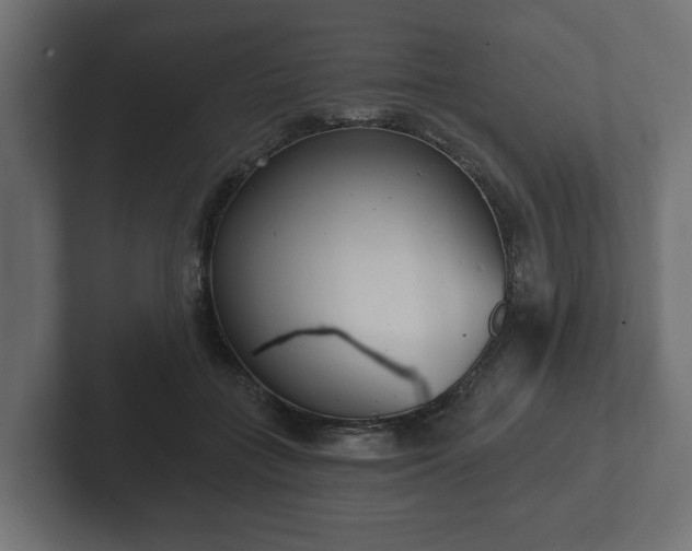 X0000102790555200808251030