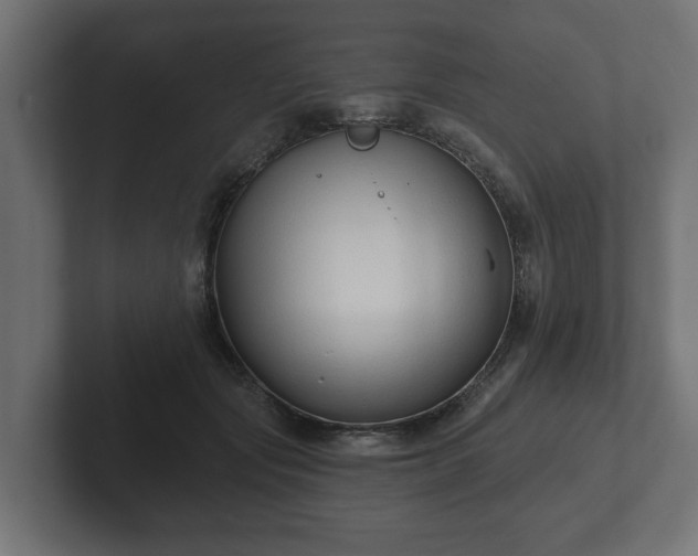 X0000102790557200808251031