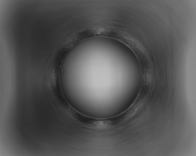 X0000102790558200808251031