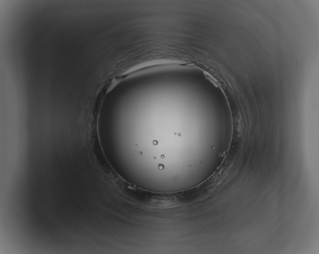 X0000102790559200808251031