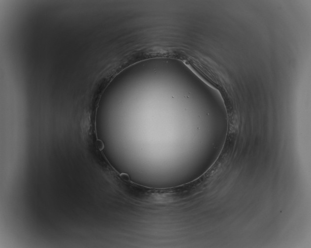 X0000102790560200808251031