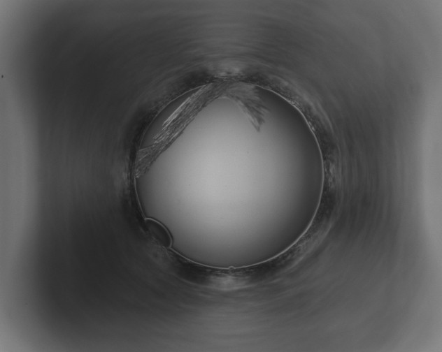 X0000102790561200808251031