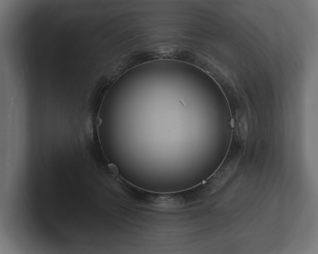 X0000102790562200808251031