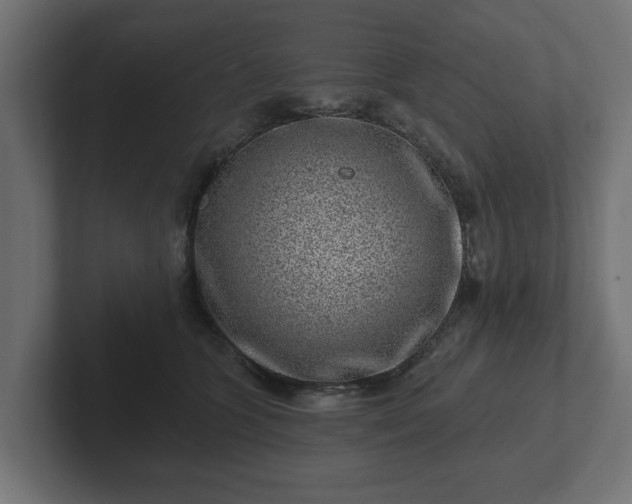 X0000102790563200808251031