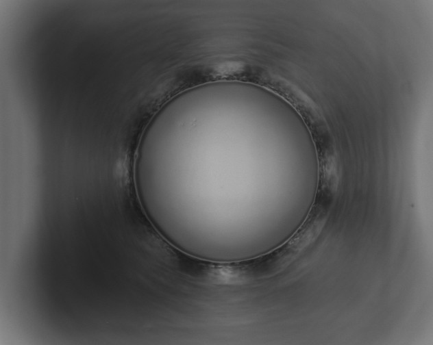 X0000102790565200808251031