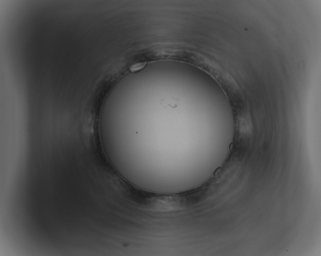 X0000102790567200808251031