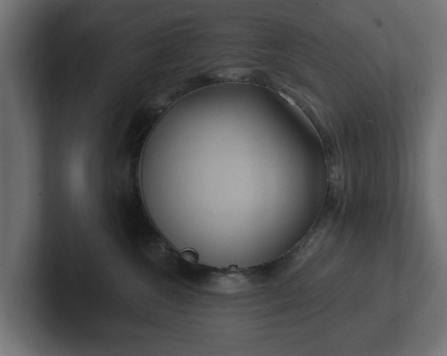 X0000102790572200808251031