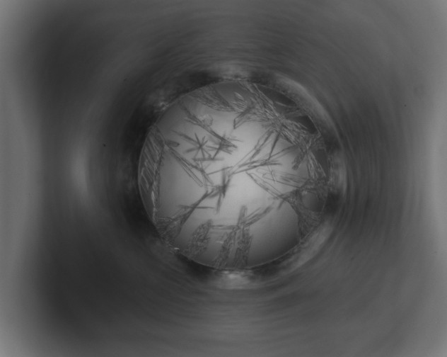 X0000102790573200808251031