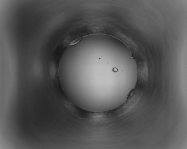 X0000102790574200808251031