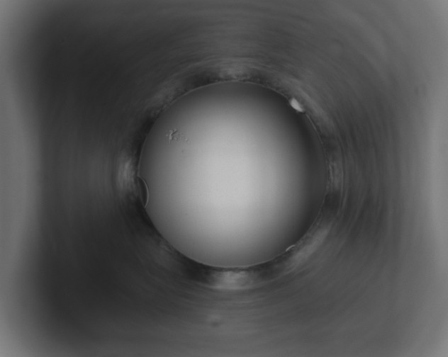 X0000102790575200808251031