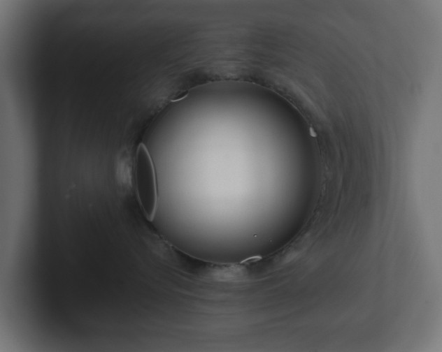 X0000102790576200808251031