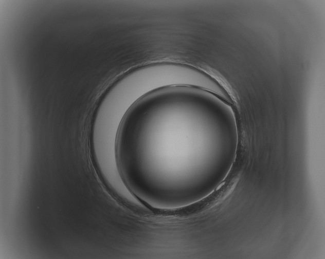 X0000102790577200808251030
