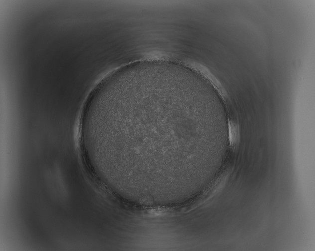 X0000102790579200808251030