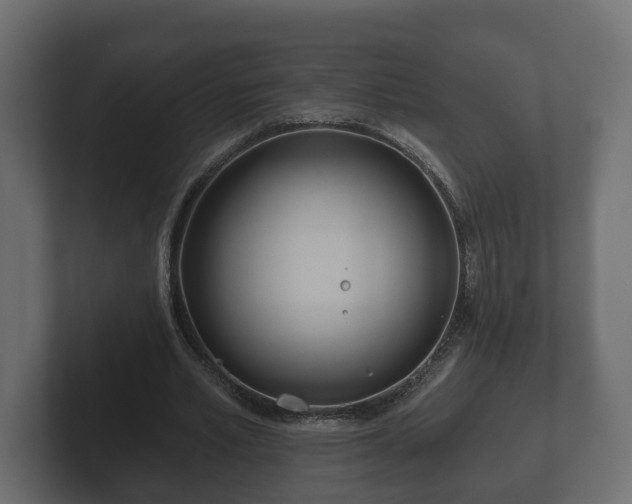 X0000102790581200808251030